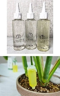 部長の蘭にディフューザーをかけた新入社員