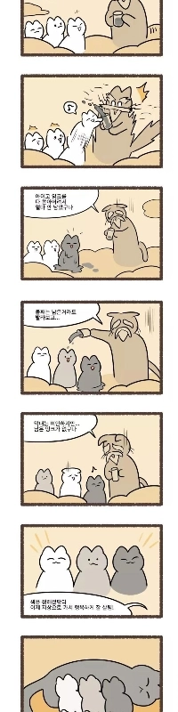猫の毛色の秘密.jpg