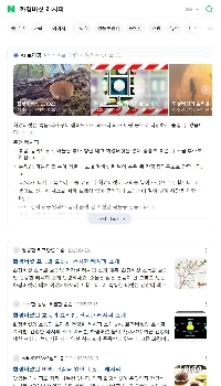 ネイバーが失敗したのはAIのせい