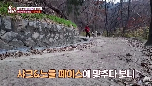 (SOUND)運転中に芸能人に会った人