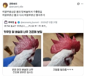 飼っていた鶏のトサカが乾燥しすぎたので化粧水を塗りました。jpg