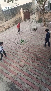 (SOUND)子どもと一緒に楽しめるボトル3本集めゲーム.mp4