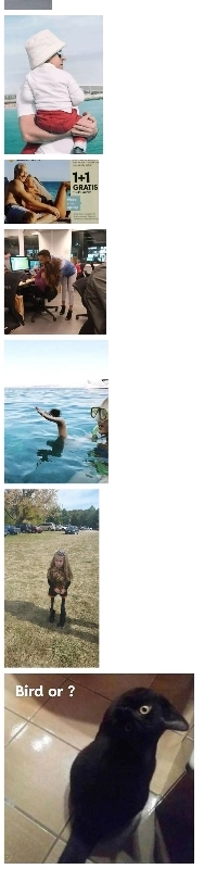 よくある目の錯覚 – 1