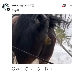 嫌い）ドバイ噛み応えのあるクッキーの意見書