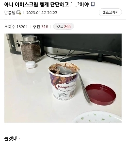 ハーゲンダッツを食べ損ねたDC