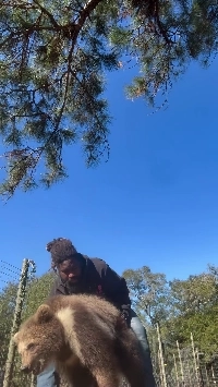 (SOUND)赤ちゃんクマを抱いて揺らす.mp4