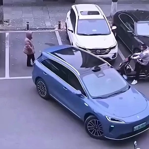 駐車場の悪党にどう対処するか