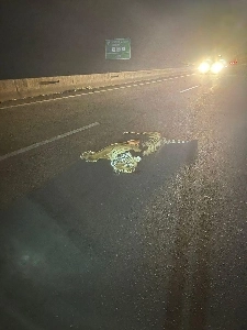 ブラジルのサッカー選手の父親を誘拐したらどうなるか。漫画