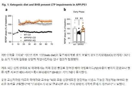 「低糖質、高脂質」と言ったら…「驚き」の結果が出ましたㄷㄷㄷㄷㄷㄷㄷ