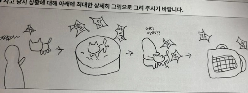 彼は私に、ペット保険の請求のために絵を描くように頼んだ。