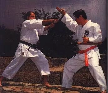 幼い頃にテコンドーを習った人でも知らなかったこと