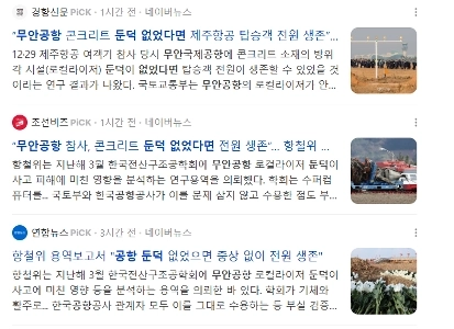 【速報】もし務安空港にバームがなかったら。