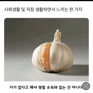 社会生活や仕事をしていく中で感じることのひとつ