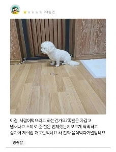 新物質を作った豚足レストランの店主ㄷㄷㄷ