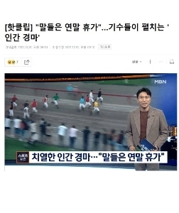 ウマ「ムスマエ」