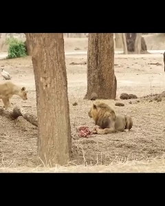 女性に注意すべき理由