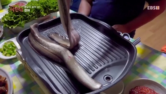 (SOUND)ウナギの焼きモクバン