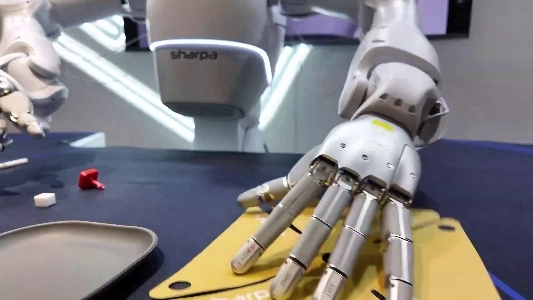 (SOUND)シンガポールのロボット技術の近況ㄷㄷ.mp4