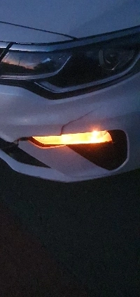 ヘラジカを轢いてしまったのですが、いくらかかりますか？