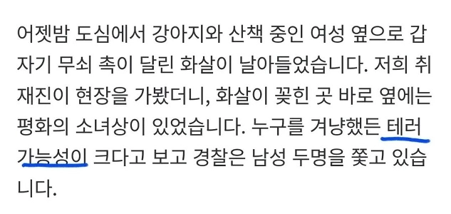 (SOUND)公園に鉄の矢を放った20代男性の監視カメラが公開