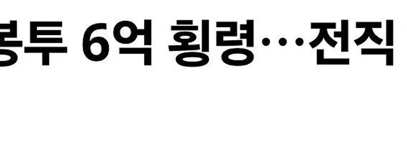 有料バッグ6億ウォン横領…元市役所職員を懲役刑