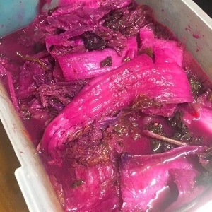 韓国でキムチが青菜だけで作られる理由