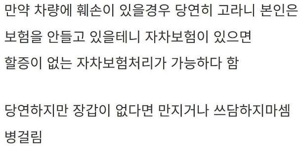 田舎でヘラジカ(?)の交通事故を起こした人