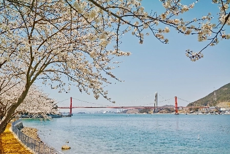 児童養護施設に外部からのゲストが来たときに最初にすること