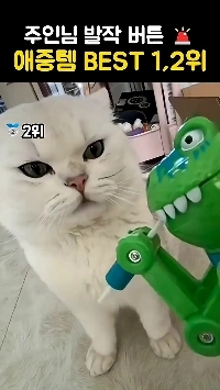 (SOUND)ニャー発作ボタンおもちゃ