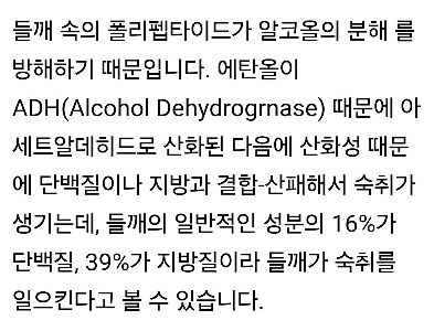 二日酔いスープにシソの実の粉末をたくさん入れてはいけない理由