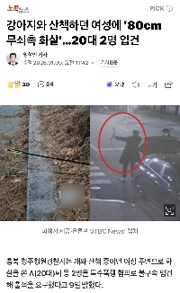 犬の散歩中の女性に「80センチの鉄の先の矢」…20代2人が予約