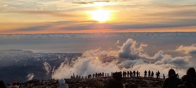 2026 年までに上位 0.001% の証明書を取得
