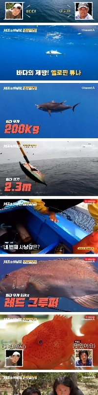 今、あなたは命を賭けてエンターテイメント番組を撮影しなければなりません。