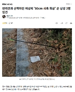 犬を連れて歩いていた女性に「80cmの先端が鉄の矢」を射ったとして男2人が逮捕される