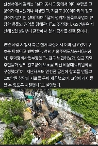 今日のお母さん猫は精神を病んでいます