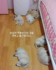 ボイラーの火を止めるのを忘れて仕事に行ってしまいました。