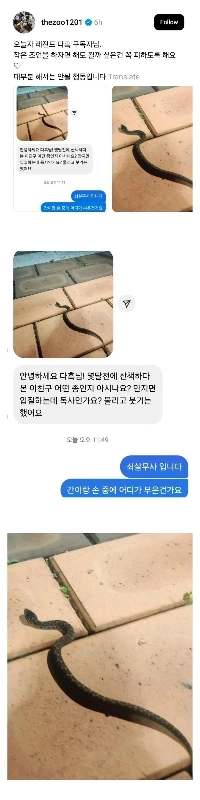 今日の爬虫類YouTuberの登録者の話