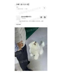 お父さんが私を叱るので、私は彼に立ち向かいます