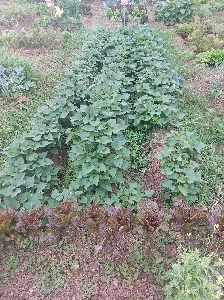 ノートパソコンの購入を考えています。