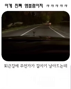 (SOUND)素晴らしい車のエンブレム