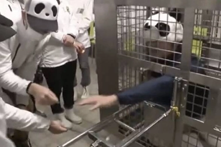 韓日法に基づいて売却・返品された日本の現状