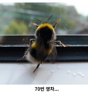 ハニーツイスト1袋に含まれるはちみつの量