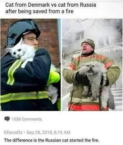 同じ状況だが温度差が激しい猫の写真。