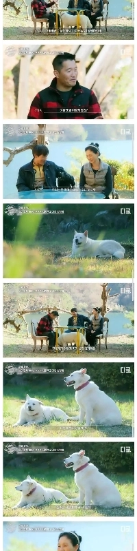 カン・ヒョンウクも太った珍島犬を初めて見た。