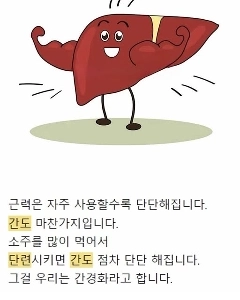 筋肉を頻繁に使えば使うほど、筋肉は強くなります。肝臓も同様です。