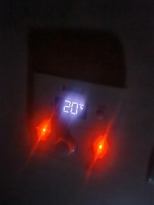 いやあ、元気になって帰ってきました。