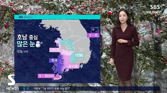 今日は降雪の予想