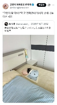 「「「猫の調子はどう？」」「」と聞くと、母が送ってくれた写真。