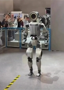 (SOUND)ヒュンダイもロボットバックタンブリングを行うのか？