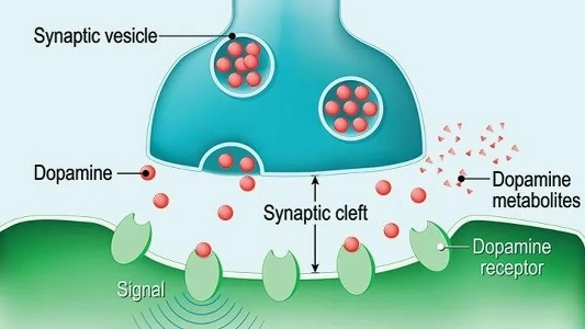 なぜドーパミンデトックスをすべきなのか